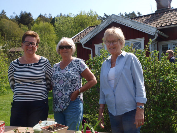 Anna-Lena Gustavsson, Inga-Lena Håkansson och Ulla-Maj Abrahamsson sålde lotter på växter som lämnats in till ett lotteri