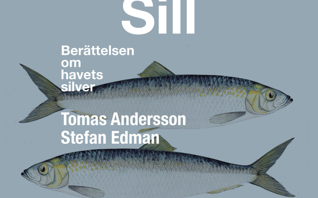 Stefan Edman och Tomas Andersson berättade om Havets Silver